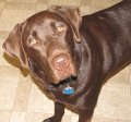 2010-04_21 Hemi_crop